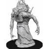 D&D Nolzur's Marvelous Unpainted Miniatures (W15) Annis Hag - Your Source for Gaming Essentials